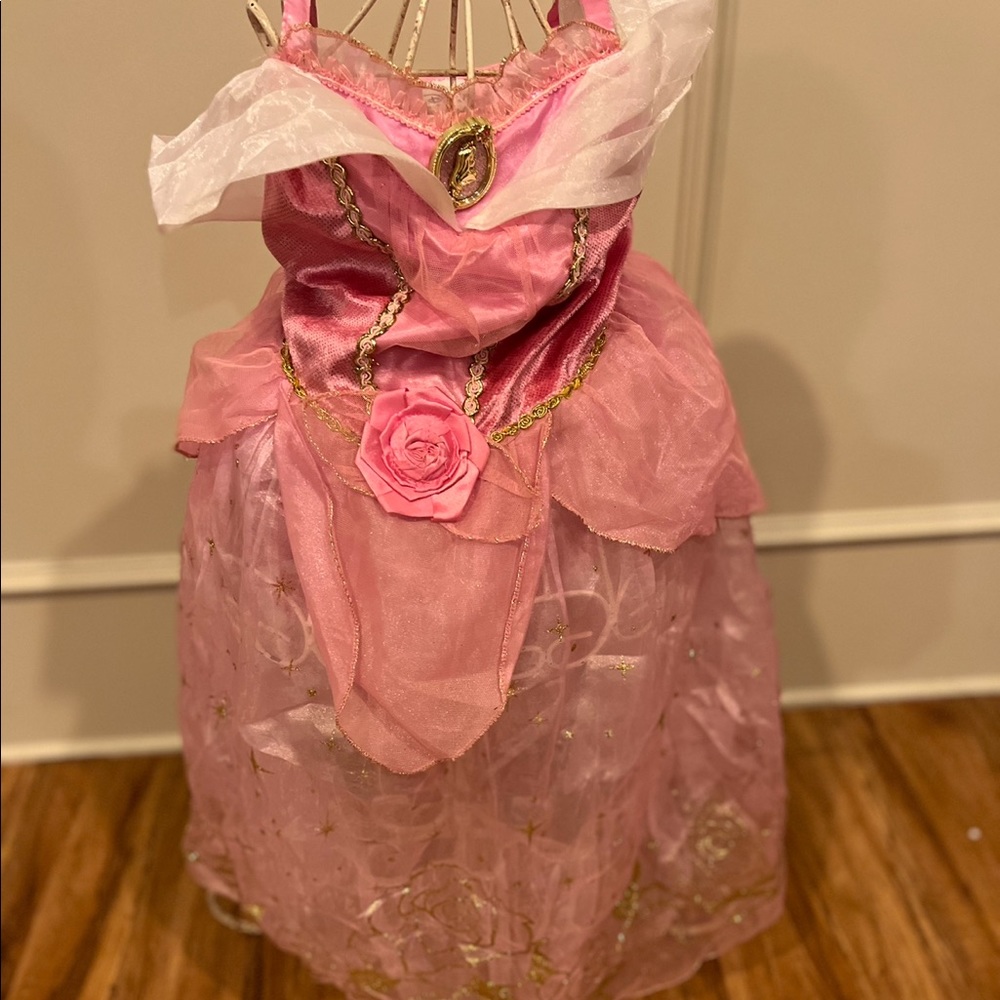 Halloween 🎃 👻💀Disney Aurora Dress